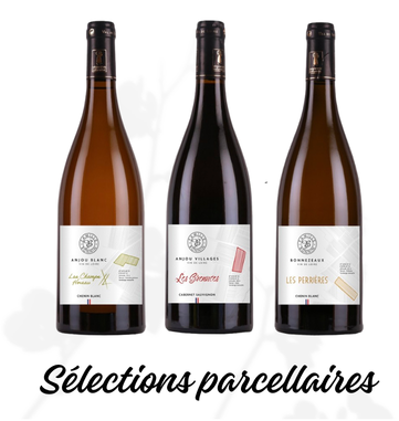 Fiche explicative – Collection Regards Changement d’étiquette Pourquoi une nouvelle étiquette pour la Collection Regards Cette nouvelle étiquette permet d’exprimer plus clairement l’identité de n (1)